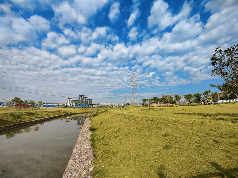 小工作群發(fā)揮大作用，共護朝陽(yáng)溪兩岸生態(tài)福祉