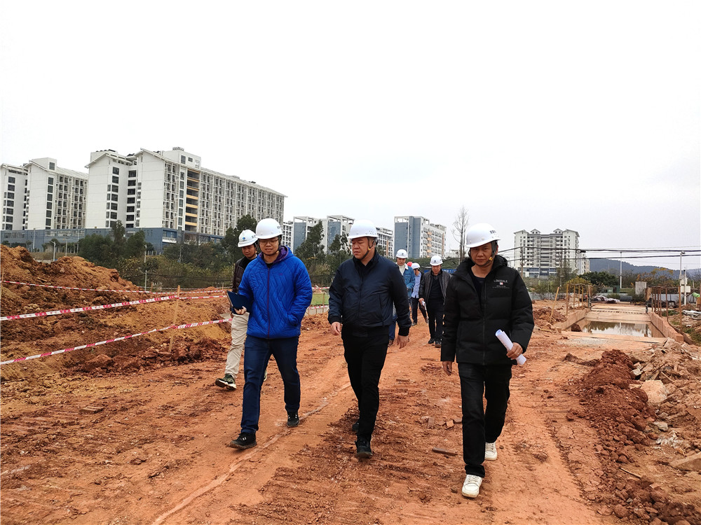 南寧市住房和城鄉建設局副局長(cháng)吳智到大派河河道改道整治工程現場(chǎng)檢查指導工作