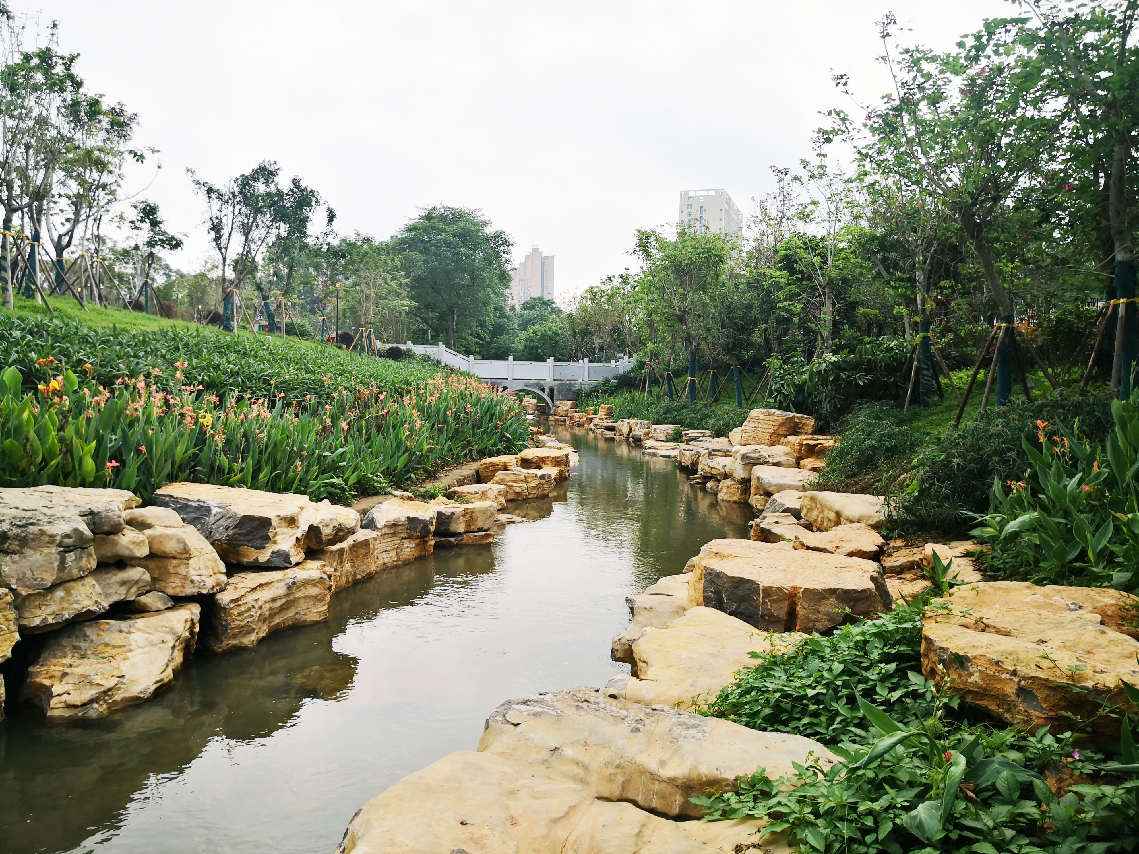 中國農業(yè)發(fā)展銀行總行戰略規劃部一行到亭子沖流域治理工程參觀(guān)調研